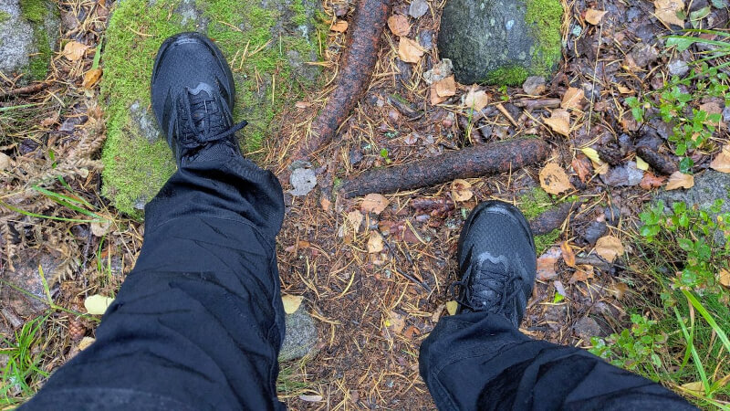 Fotter skog